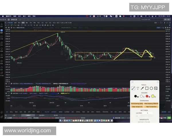 杭州排球队与重庆排球队赛后复盘分析比赛节奏与战术对比