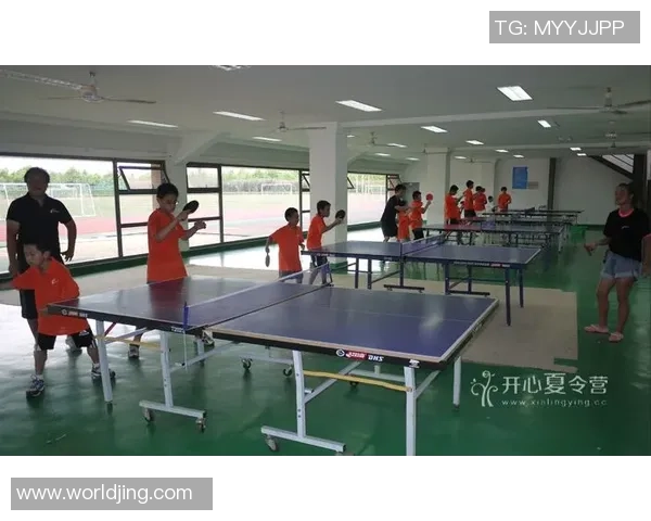 武汉乒乓球队区域防守革新之路：战术创新与团队协作的完美结合