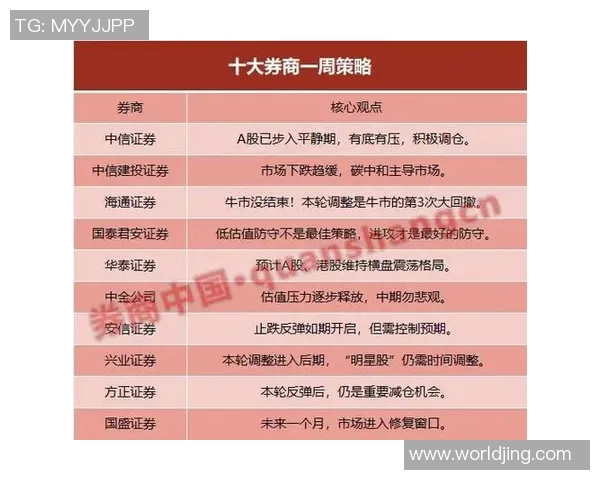 深入分析成都排球队防守策略与战术特点的专业解读