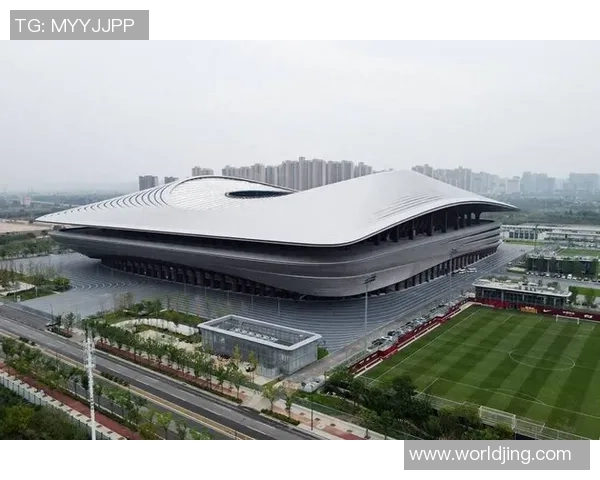 西安足球队在洲际杯中的拼搏历程与荣耀时刻全景回顾