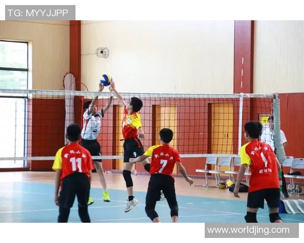 重庆排球队耐力对比深度解析与训练策略探讨 重庆排球队耐力对比深度解析与训练策略探讨