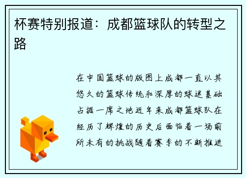 杯赛特别报道：成都篮球队的转型之路