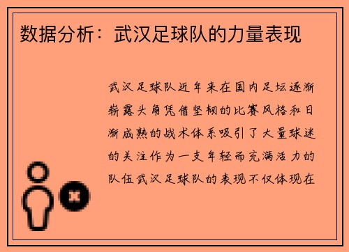 数据分析：武汉足球队的力量表现