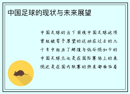 中国足球的现状与未来展望
