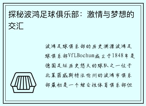 探秘波鸿足球俱乐部：激情与梦想的交汇