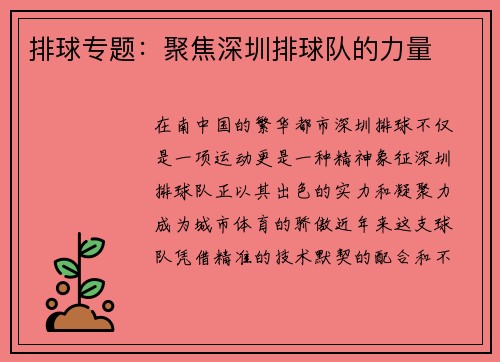 排球专题：聚焦深圳排球队的力量